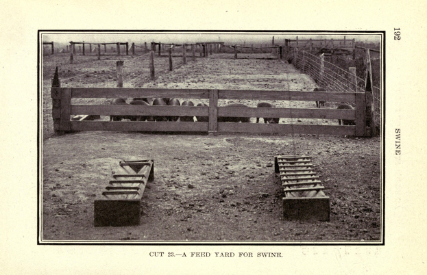 Schwarz-weiß-Foto eines Schweinefutterhofs, der von einem hölzernen Zaun umgeben ist, mit verstreuten Gegenständen auf dem Boden und Text unten.