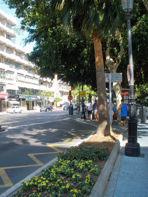 Eine Stadtstraße mit fahrenden Fahrzeugen, Fußgängern auf dem Gehweg, Laternen, Schildern, Bäumen, blühenden Pflanzen und Gebäuden mit Fenstern unter einem klaren blauen Himmel, mit einer Palme in der Mitte.