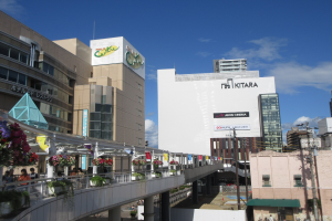 Eine belebte Stadtstraße mit hohen Gebäuden, eine Brücke mit Geländern und Topfpflanzen in voller Blüte, Menschen auf der Brücke, Strommasten mit Drähten und ein bewölkter Himmel im Hintergrund.