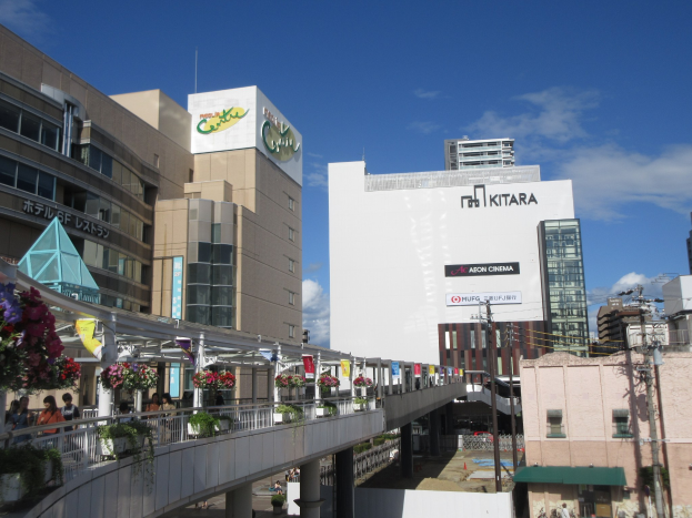 Eine belebte Stadtstraße mit hohen Gebäuden, eine Brücke mit Geländern und Topfpflanzen in voller Blüte, Menschen auf der Brücke, Strommasten mit Drähten und ein bewölkter Himmel im Hintergrund.