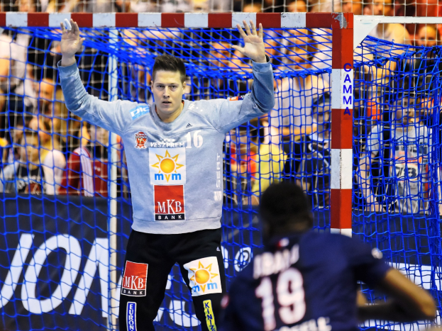 Handballspieler hebt die Hände in der Nähe eines Tores, mit einer Zuschauermenge im Hintergrund und einem "Futsal-Weltmeisterschaft 2019"-Schild im Hintergrund.