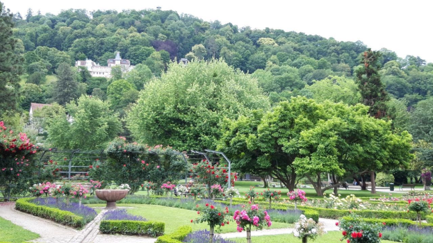 Ein grüner Park mit einem zentralen Brunnen, umgeben von Bäumen, Blumen, Gras, einem Weg und Gebäuden im Hintergrund sowie einem klaren blauen Himmel.