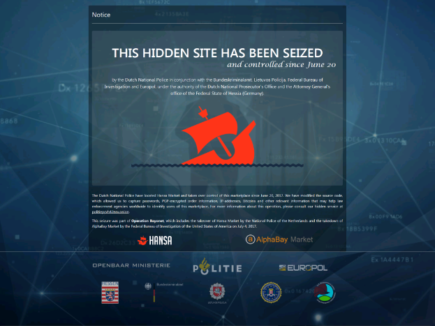 Ein Computerbildschirm mit einer Nachricht, die in fetter, schwarzer Schrift und einem weißen Rand steht: "Diese verdeckte Website wurde beschlagnahmt" und einem Logo der niederländischen Nationalpolizei mit einem blauen Schild und einem weißen Stern in der Mitte.