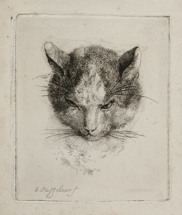 Schwarz-weißes realistische Zeichnung einer Katze mit großen Augen, aufgerichteten Ohren, langen Schnurrhaaren und einer eingerollten Schwanz, auf Papier mit fetter Schrift.