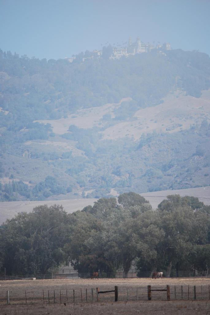 Ein Feld mit Pferden, umgeben von einem Zaun, mit Bäumen, einem Berg und dem Himmel im Hintergrund.