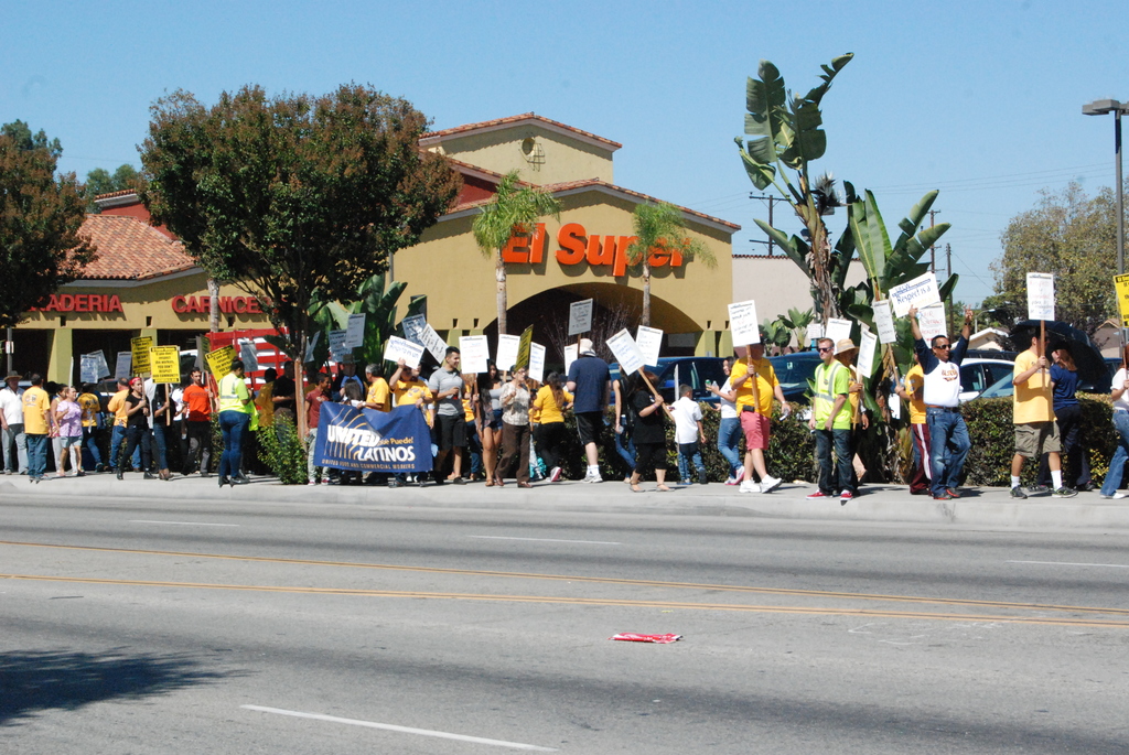 Eine Gruppe von Menschen mit Schildern und Autos, mit Bäumen, Büschen, einer Fahne, einem Gebäude mit Namensschildern, Autos und aktuellen Umfragen im Hintergrund.
