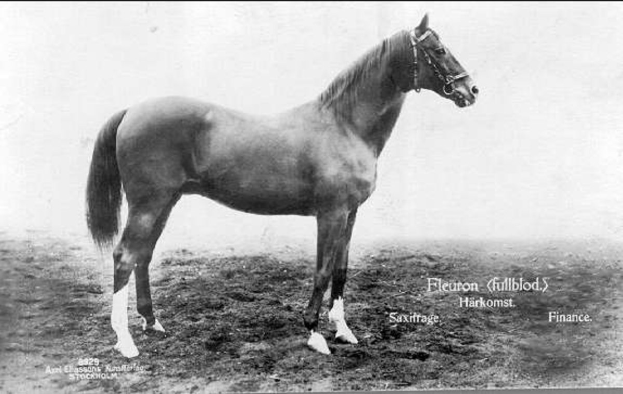 Schwarzes und weißes Foto eines Pferdes, das aufmerksam in der Erde steht, mit wallender Mähne und Schweif, Text unten lautet "Pferd".