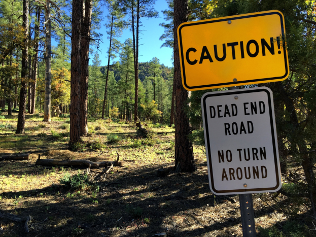 Vorsichtsschild im Wald mit der Aufschrift "Sackgasse - Kein Wenden" und Bäumen und einem klaren Himmel im Hintergrund.