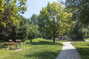 Ein Park mit einem gewundenen Pfad, der von Bänken gesäumt ist, umgeben von grünem Gras und Bäumen, Schuppen im Hintergrund und einem klaren blauen Himmel.