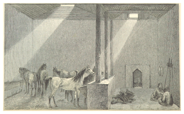 Eine Zeichnung eines Raums mit zwei Pferden, zwei sitzenden Personen auf dem Boden, verstreuten Gegenständen und Text am unteren Rand.