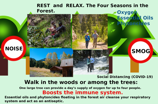 Plakat mit dem Titel "Ruhe und Entspannung die Vier Jahreszeiten im Wald" mit Bildern von Menschen, die durch einen bewaldeten Bereich mit Bäumen und einem Haus gehen.