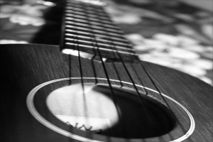 Ein Bild eines Musikinstruments.