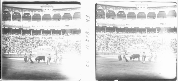 Schwarzes und weißes Foto eines Stierkampfs in einem Stadion mit Zuschauern auf den Rängen und Menschen in der Nähe der Stiere im Vordergrund.
