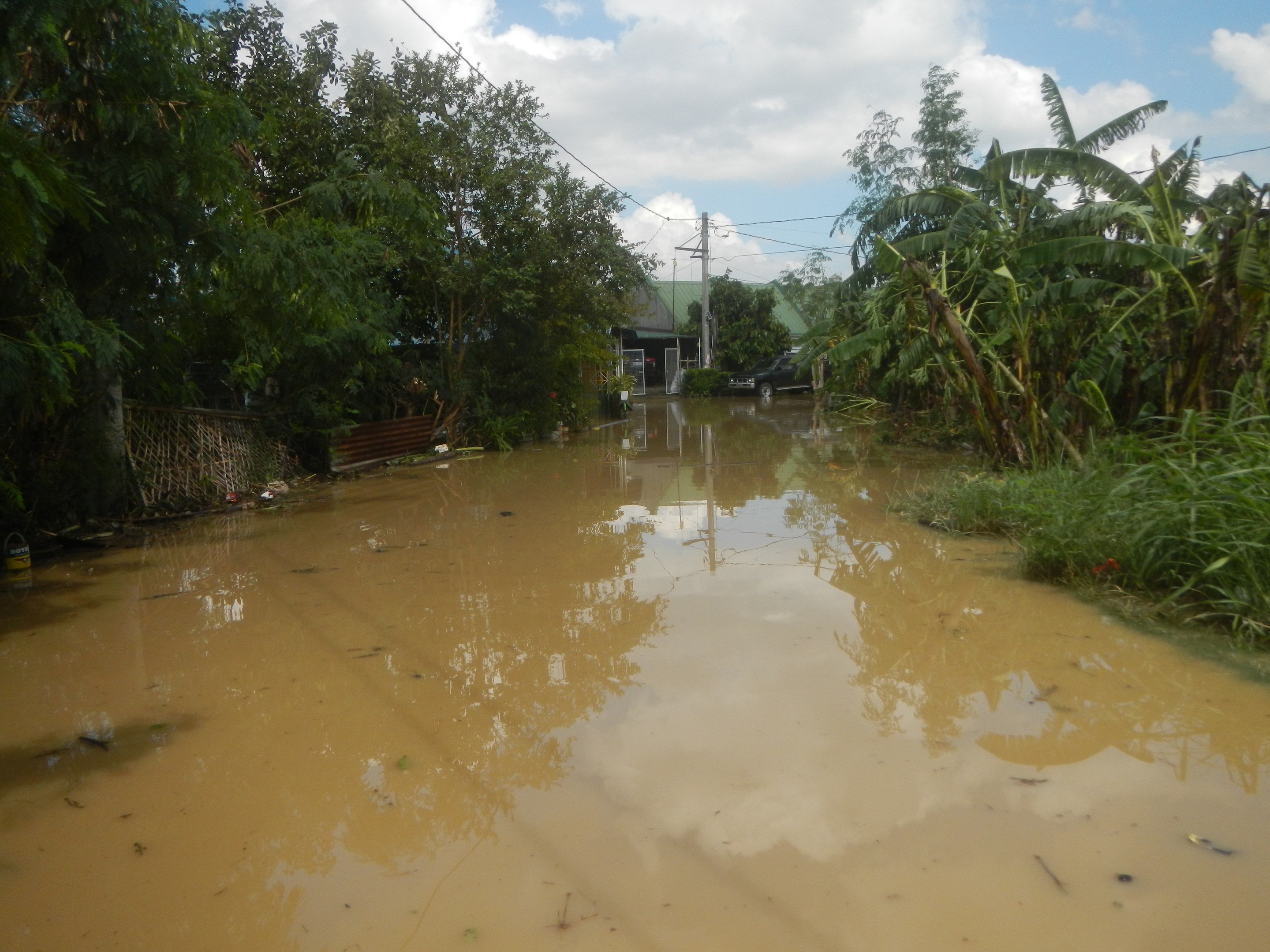 Überschwemmte ländliche Straße mit Wasser, das die Straße, Pflanzen und Bäume auf beiden Seiten bedeckt, ein geparktes Auto auf der rechten Seite und beschädigte Häuser, Pfähle und Drähte im Hintergrund unter einem bewölkten Himmel.