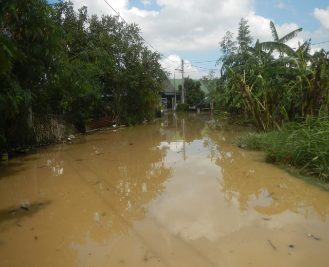Überschwemmte ländliche Straße mit Wasser, das die Straße, Pflanzen und Bäume auf beiden Seiten bedeckt, ein geparktes Auto auf der rechten Seite und beschädigte Häuser, Pfähle und Drähte im Hintergrund unter einem bewölkten Himmel.